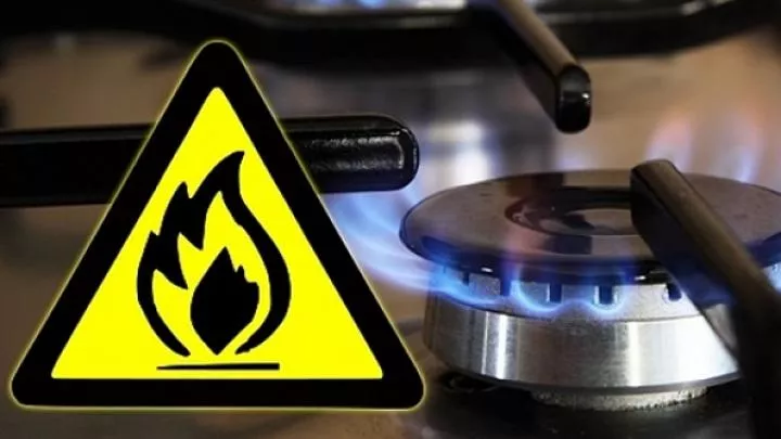 Две страны ЕС выступили против сокращения потребления газа – Reuters 