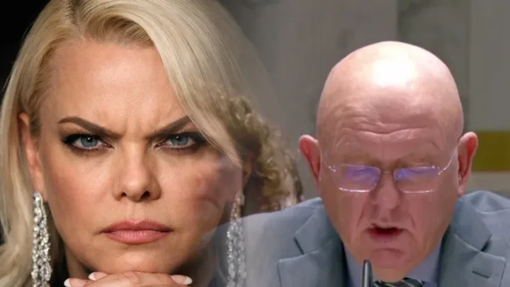 У Поплавской уже сдали нервы: Пора запретить это Небензе, покажите Кузькину мать, а не это вот всё