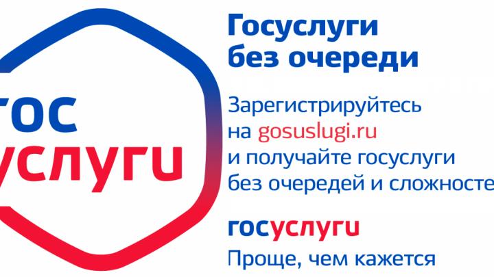 Донецкая таможня напомнила о возможности получения государственной услуги по консультированию через портал Госуслуги