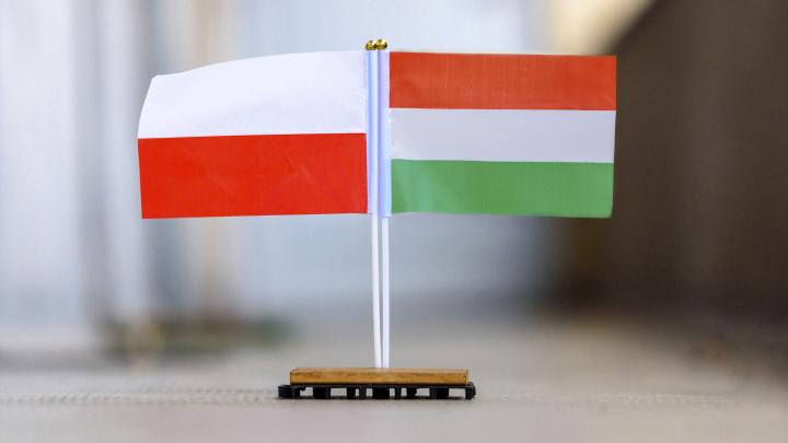 На украинские территории посягнут Венгрия и Польша в случае отказа Киева от переговоров – экс-разведчик Риттер