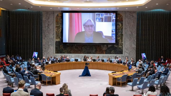 Европе – зерно, Украине – оружие. Второе дно Черноморской инициативы ООН
