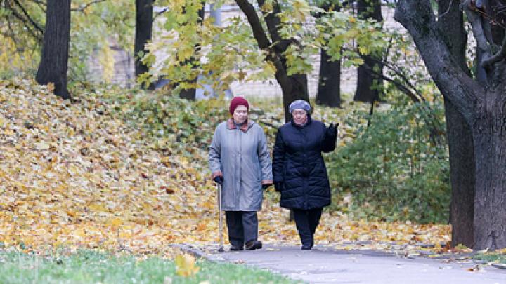 Внуки. Силуанов нашел виновных в том, что пенсионеры не хотят работать