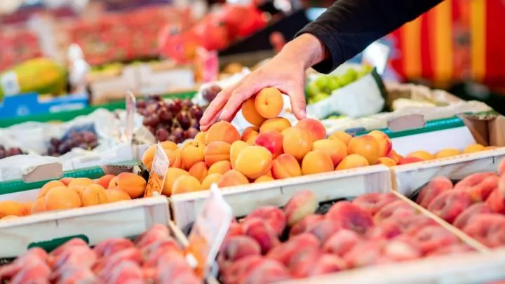 Херсон и Запорожье помогут России избавиться от импортных продуктов