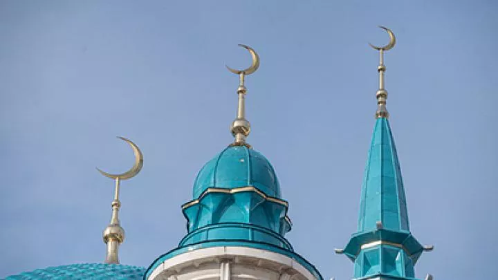 Исламский фактор русской безопасности