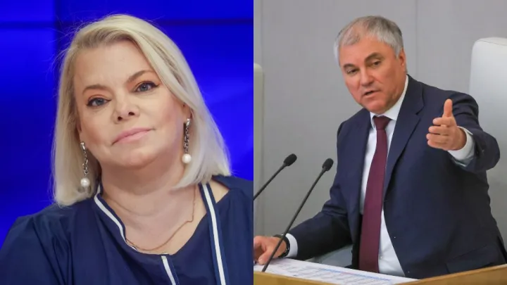 Чиновники отъехали. Володин не понял. Поплавская предупредила: Достанется от недовольных