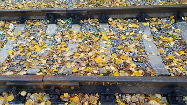 В Брянской области на железной дороге сработало взрывное устройство