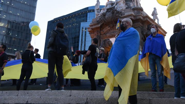 Украинский унпрофор