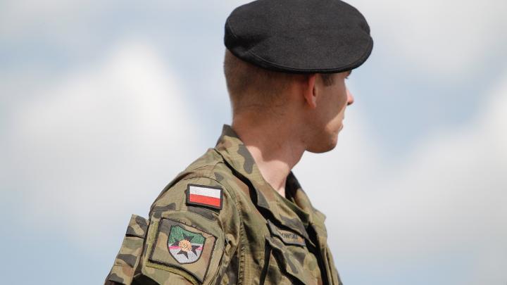 Польские наемники втягивают Польшу в войну без шансов на успех