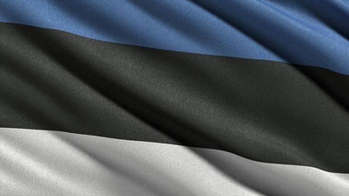 Эстония применит схему использования замороженных российских активов для помощи Украине