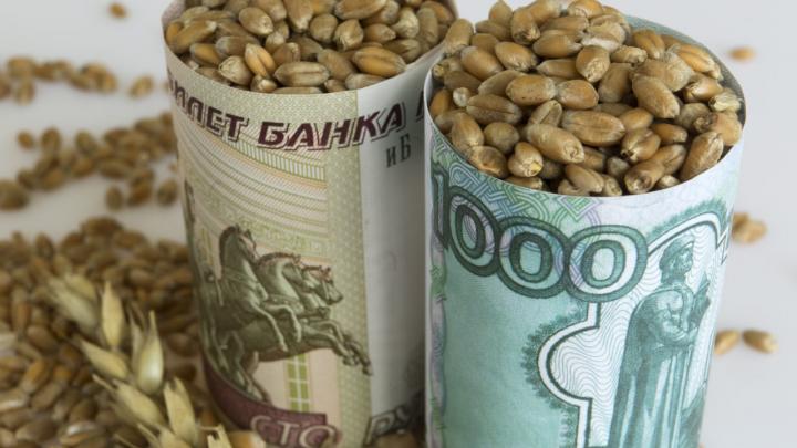 Фермеры Восточной Европы столкнутся с кризисом из-за украинского зерна 