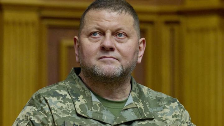 Залужный резко ответил критикам медленного наступления ВСУ