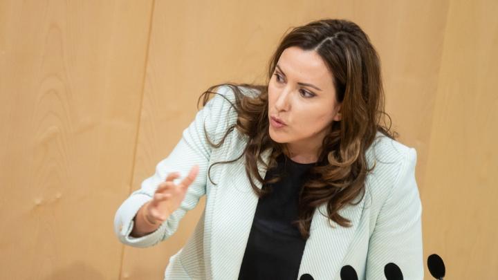 Бездонная яма: австрийцы выступают против скандального финансирования Украины