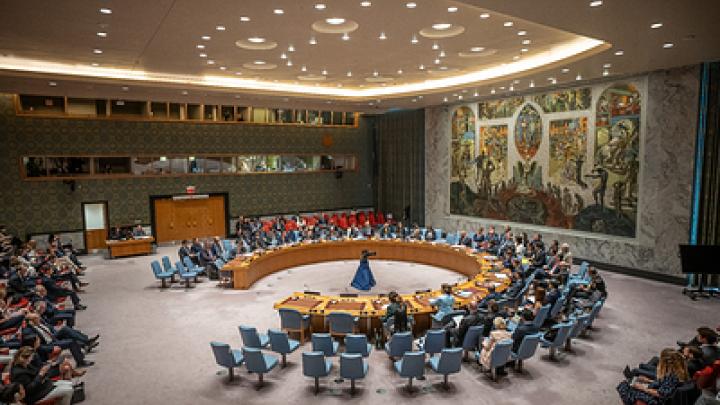 Россия не стала выступать на заседании СБ ООН по зерновой сделке в знак протеста